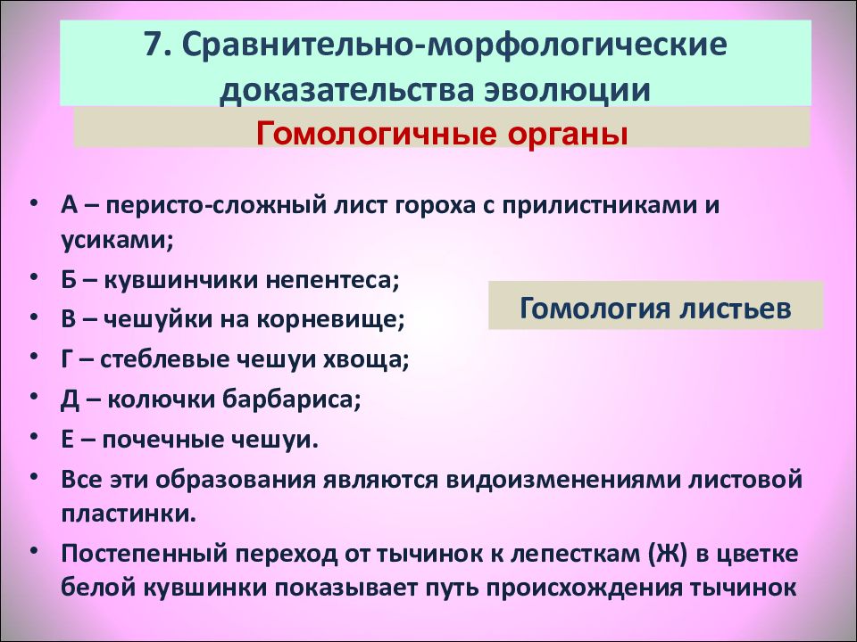 Морфологические доказательства эволюции. Сравнительно морфологические доказательства. Морфологическим доказательством эволюции служит. Доказательства эволюции презентация 11 класс профильный уровень. Вопросы на тему доказательства эволюции.