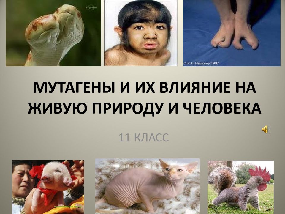 МУТАГЕНЫ И ИХ ВЛИЯНИЕ НА ЖИВУЮ ПРИРОДУ И ЧЕЛОВЕКА