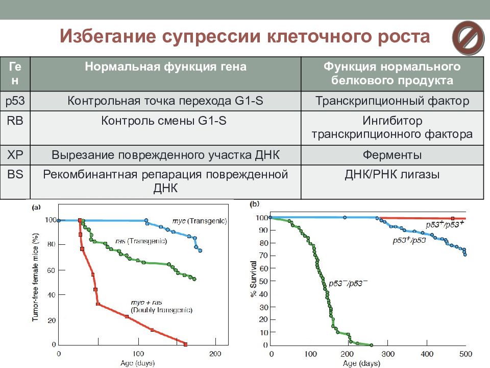 Ген роста. Фенотипические супрессии. Супрессия генов. Избегание супрессии клеточного роста картинки. Избегание супрессия клеточного роста.