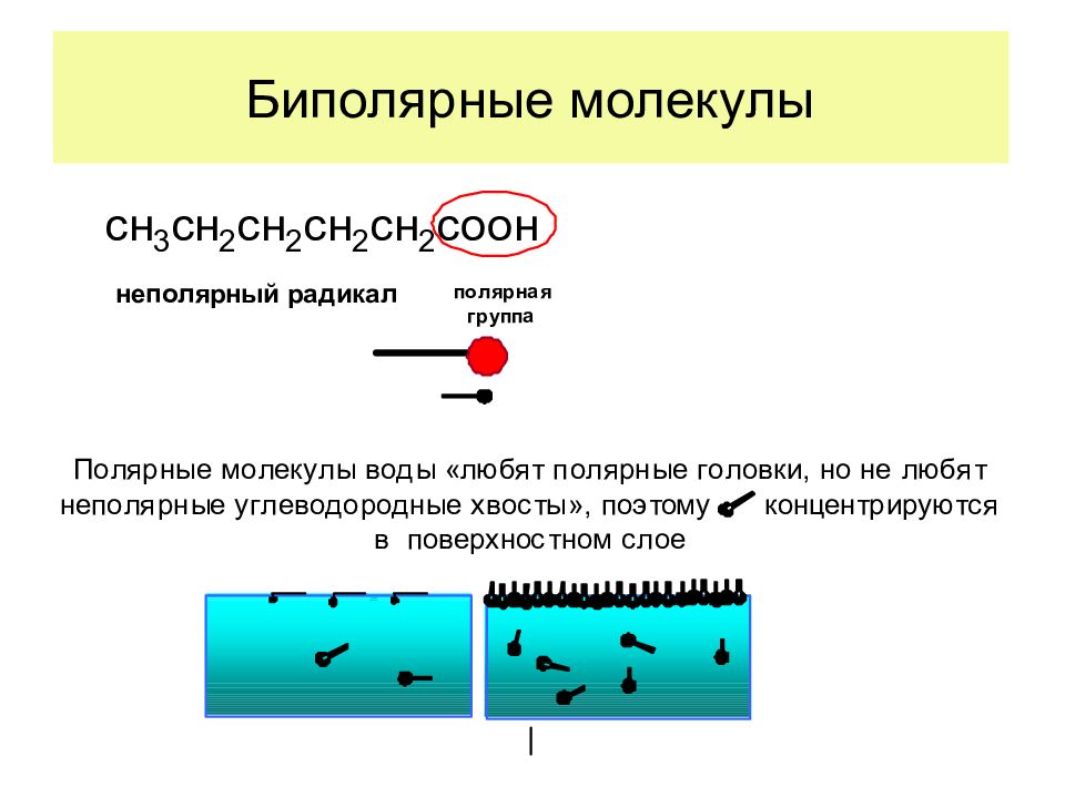 Доказательство молекул. Полярные и неполярные молекулы. Биполярная молекула воды. Полярные и неполярные молекулы химия. Полярная и неполярная часть молекулы.