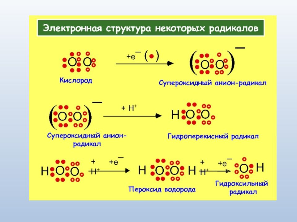 Анион. Реакция образования супероксид анион-радикала. Строение супероксид анион радикала. Формула супероксидного радикала. Супероксид анион кислорода.