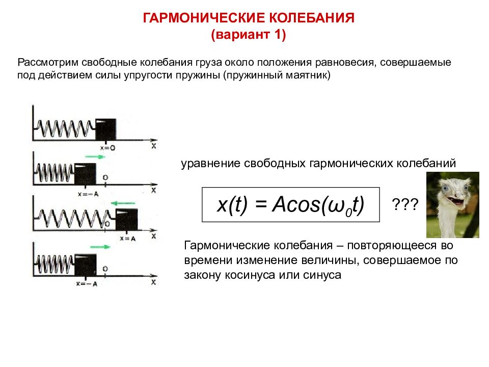 Колебания вариант 2