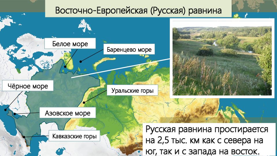 Великие равнины россии восточно европейская и западно сибирская презентация