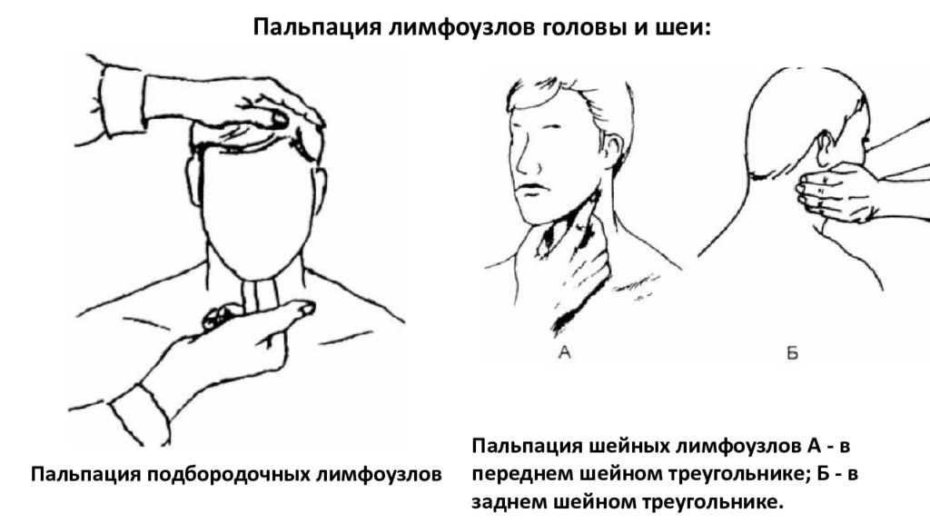 Заполните схему осмотра глотки виды исследования норма патология осмотр подчелюстной области