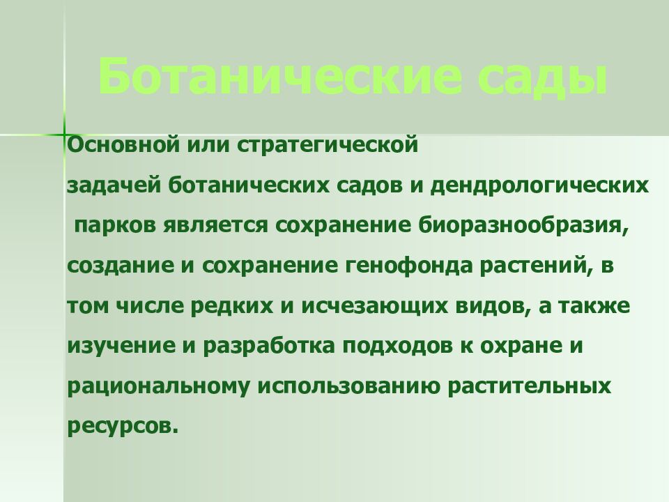 ОХРАНА РАСТИТЕЛЬНОГО МИРА