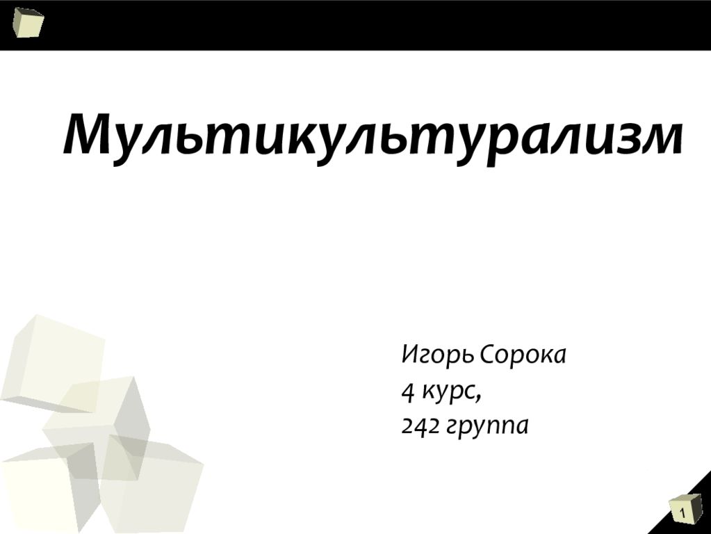 Мультикультурализм