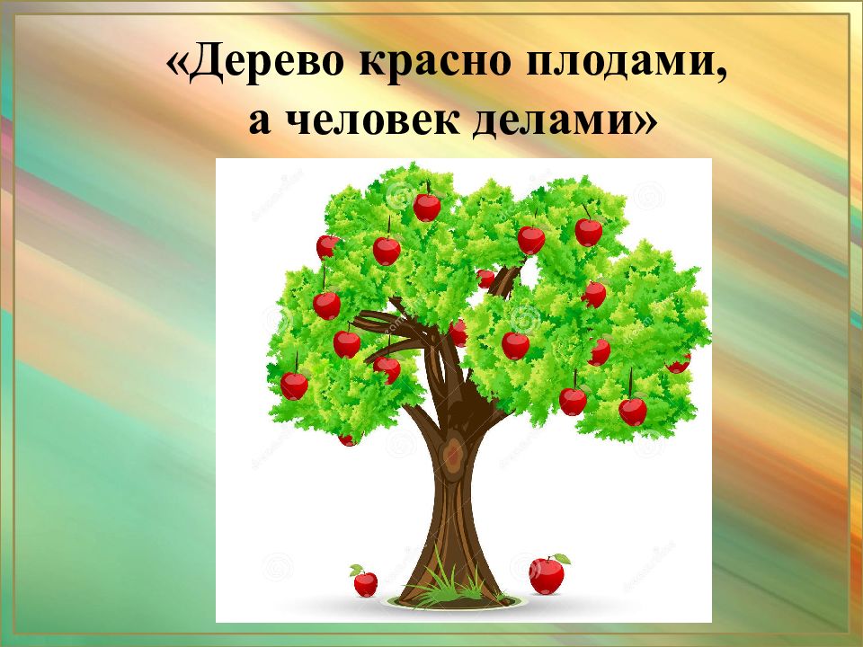 Дерево ценят. Дерево дорого плодами а человек делами. Дерево в плодах а человек в делах. Дерево славится плодами, а человек делами.. Дерево славится плодами.