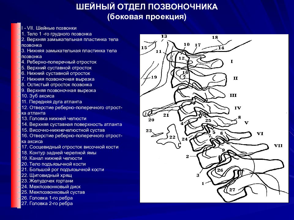 Склероз замыкательных пластинок