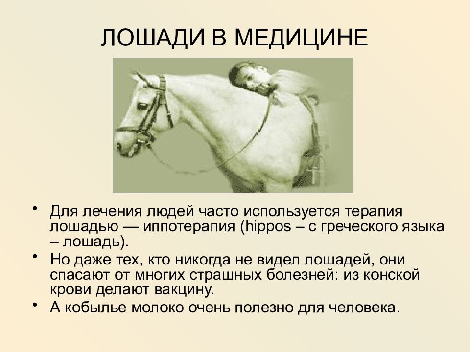 Знахарь лечивший лошадей. Лошадь в медицине. Коневодство в медицине. Польза лошадей в медицине. Польза лошади для человека.
