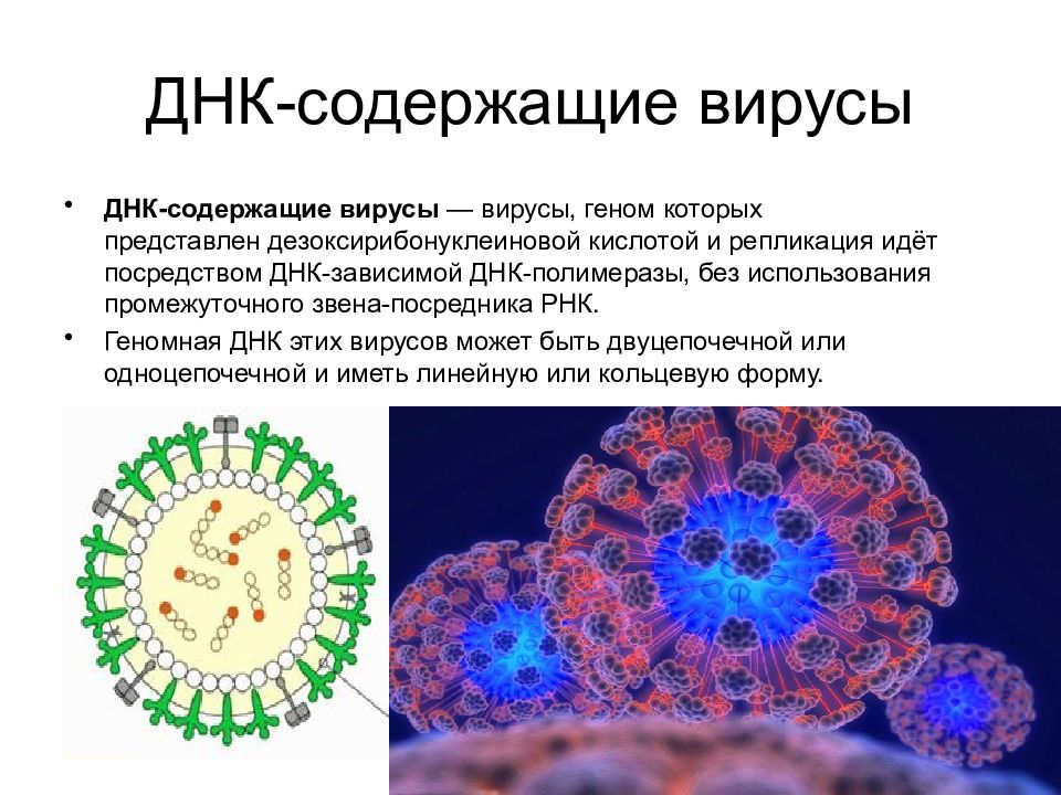 Может ли картинка содержать вирус