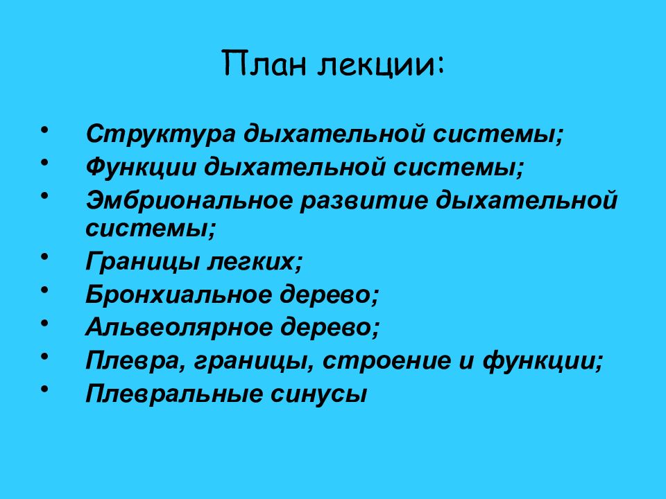 Функциональная анатомия дыхательной системы презентация