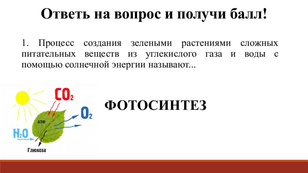 Ответь на вопрос и получи балл! 1. Процесс создания зелеными растениями сложных