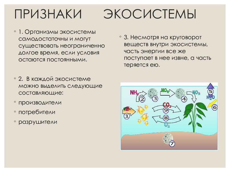 признаки естественной экосистемы. охарактеризуйте основные компоненты экосистемы. признаком экосистемы является. почему чем сложнее экосистема тем выше её устойчивость. признаком экосистемы является.