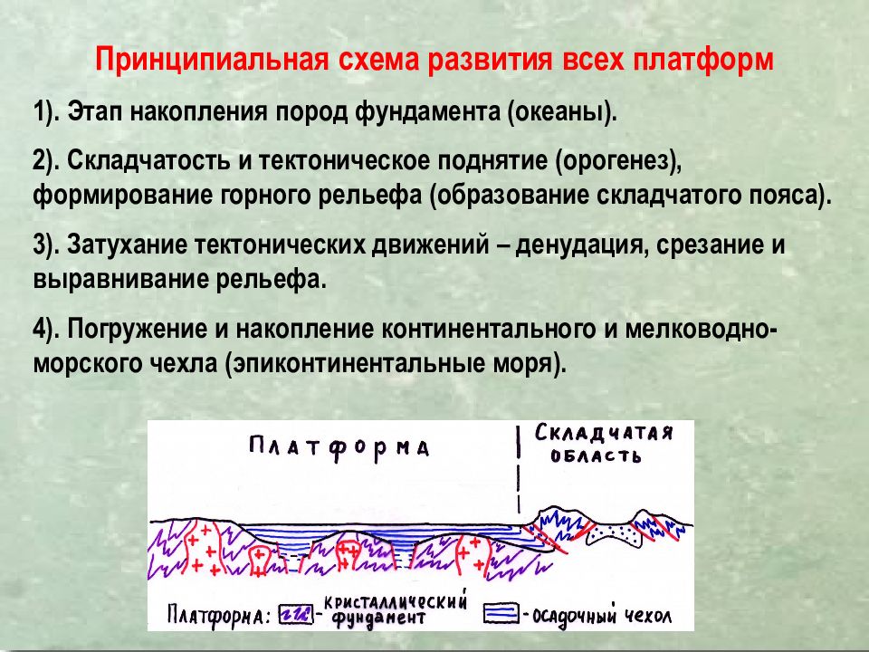 Этапы формирования платформ. Этапы формирования пояса складчатости. Строение складчатых поясов. Пояса складчатости и платформы. Тихоокеанская складчатость.