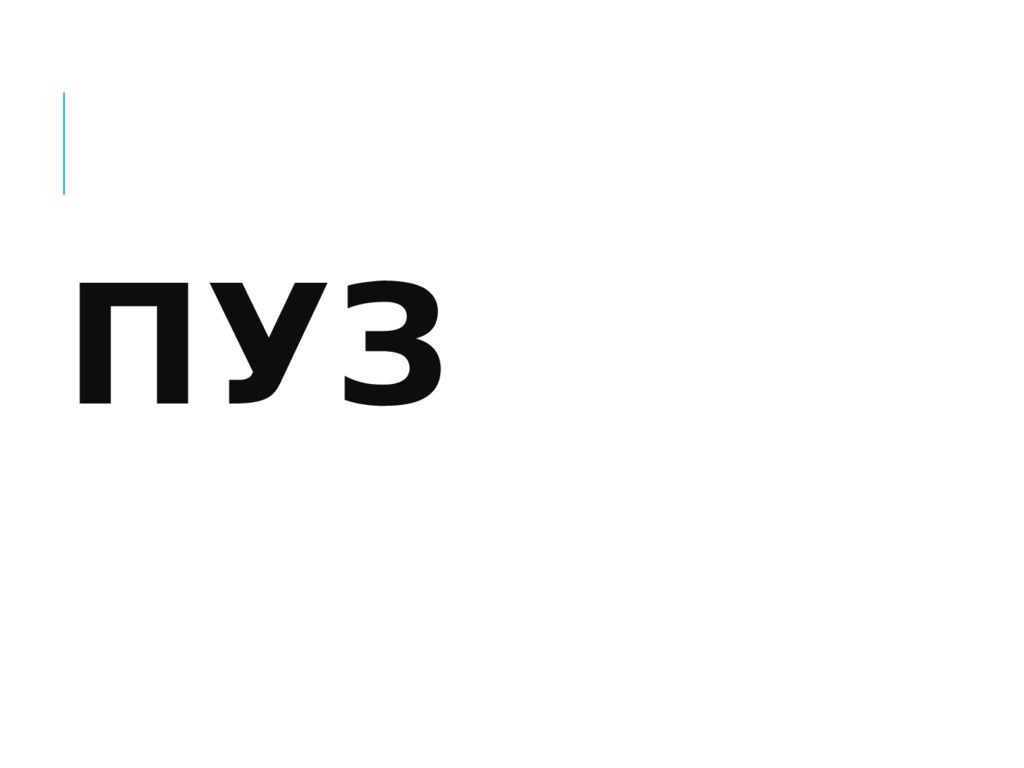 ПУЗ