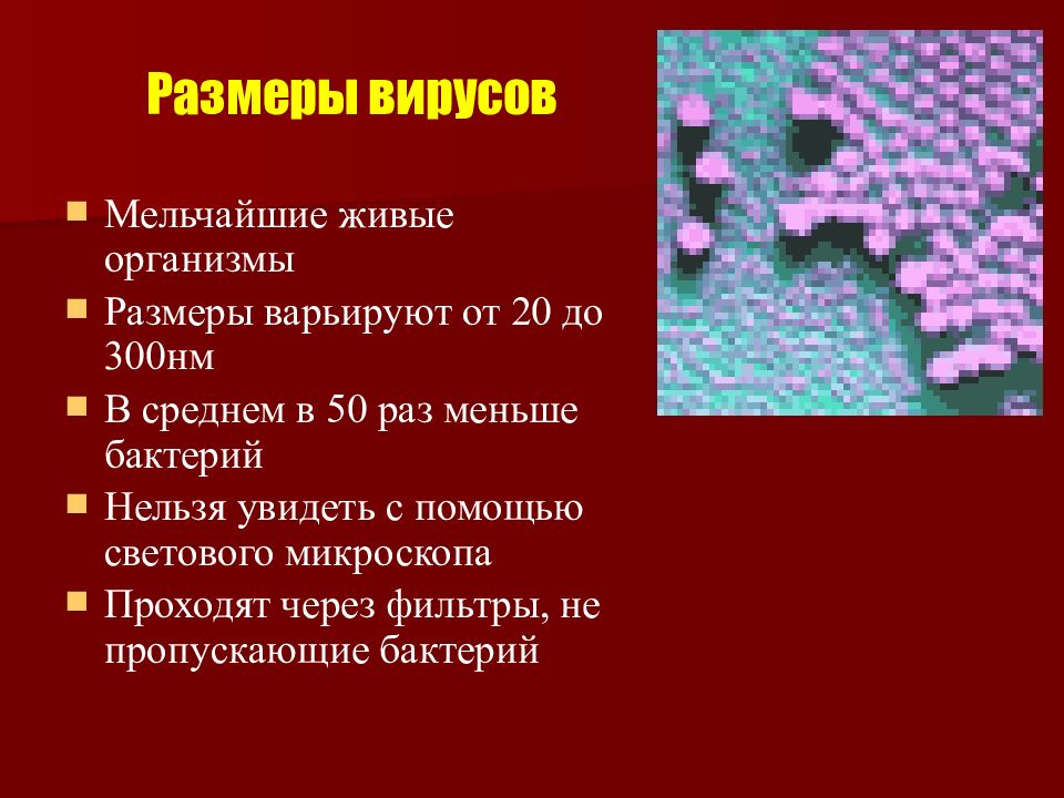 Презентация на тему вирусы. Вирусы презентация. Вирусы 11 класс. Презентация по теме вирусы. Интересные факты о вирусах биология.