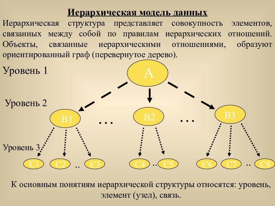 Иерархического способа организации данных. Иерархическая структура. Иерархическая структура модели. Иерархическая модель данных. Иерархическая структура это отношение.