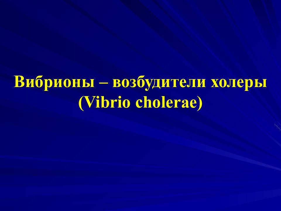 Вибрионы – возбудители холеры ( Vibrio cholerae )