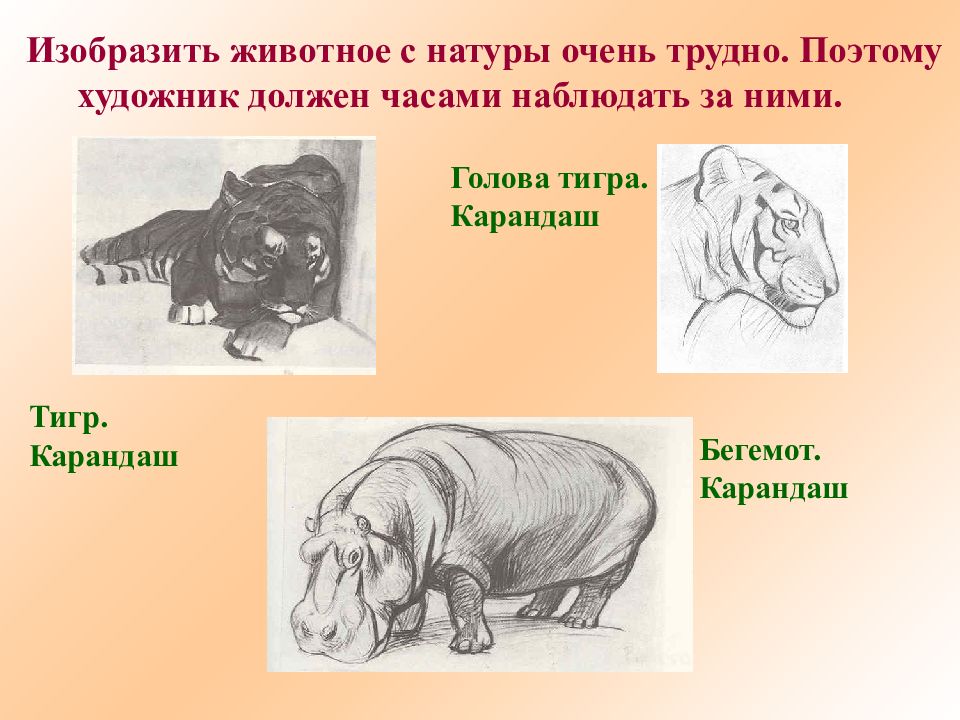 Что изображают на картинках анималистического жанра