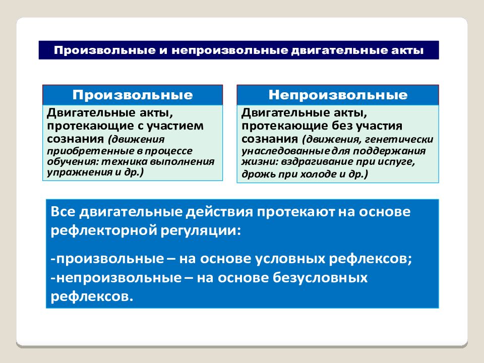 Непроизвольные движения. Произвольный и непроизвольный. Произвольные и непроизвольные действия. Произвольные двигательные акты. Произвольные и непроизвольные двигательные движения.