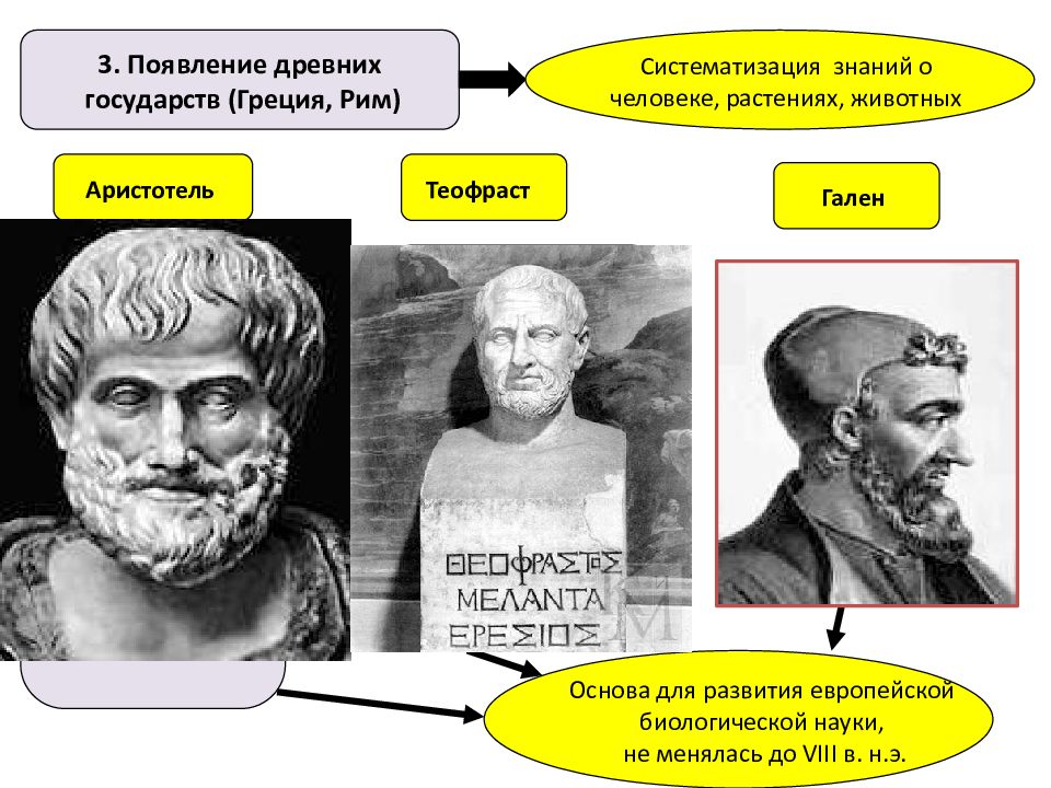 Аристотель гален. Аристотель и Гален. Аристотель и Теофраст. Гален и Теофраст. Систематизация знаний Аристотеля.