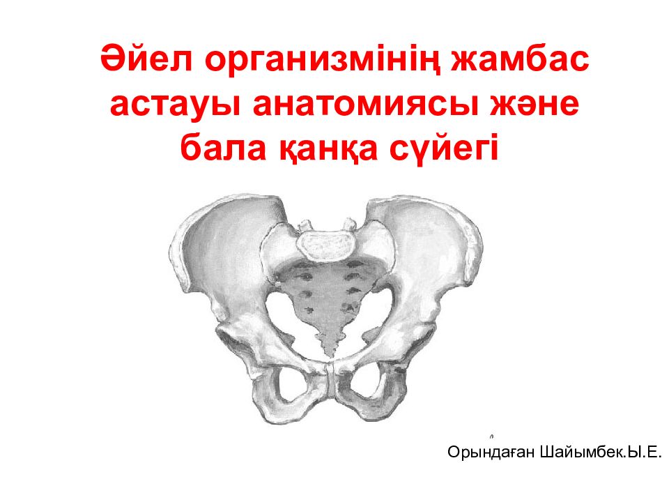 Әйел организмінің жамбас астауы анатомиясы және бала қанқа сүйегі