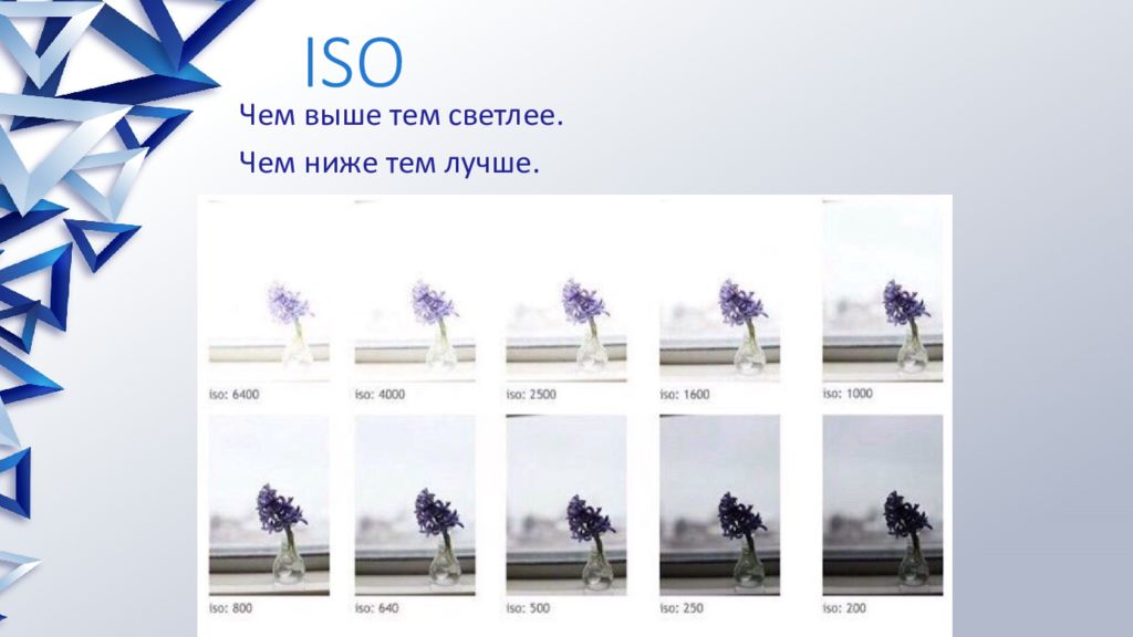 Чем выше тем лучше. Чем выше ISO тем. Чем ниже ISO тем лучше. Чем выше ИСО тем светлее. ИСО высокое и ИСО низкое.