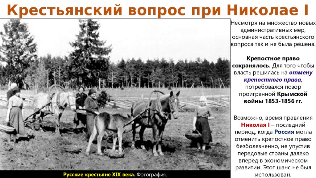 Крестьянский вопрос при николае 1. Николай 1 крестьянский вопрос. Крестьяне при Николае 1. Крепостное право при Николае 1.