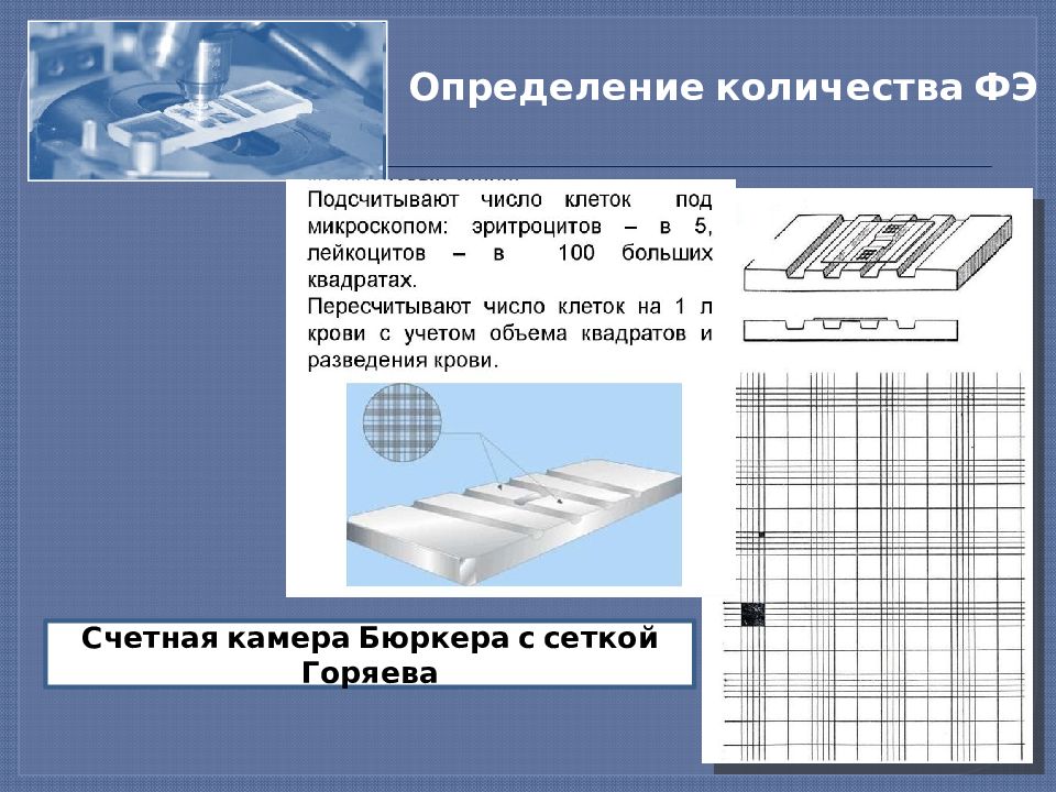 Камера горяева картинки