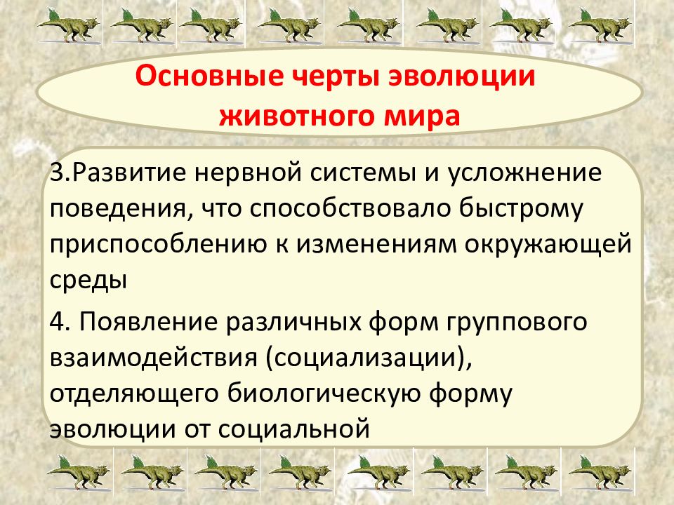 Презентация на тему основные этапы развития животного мира на земле