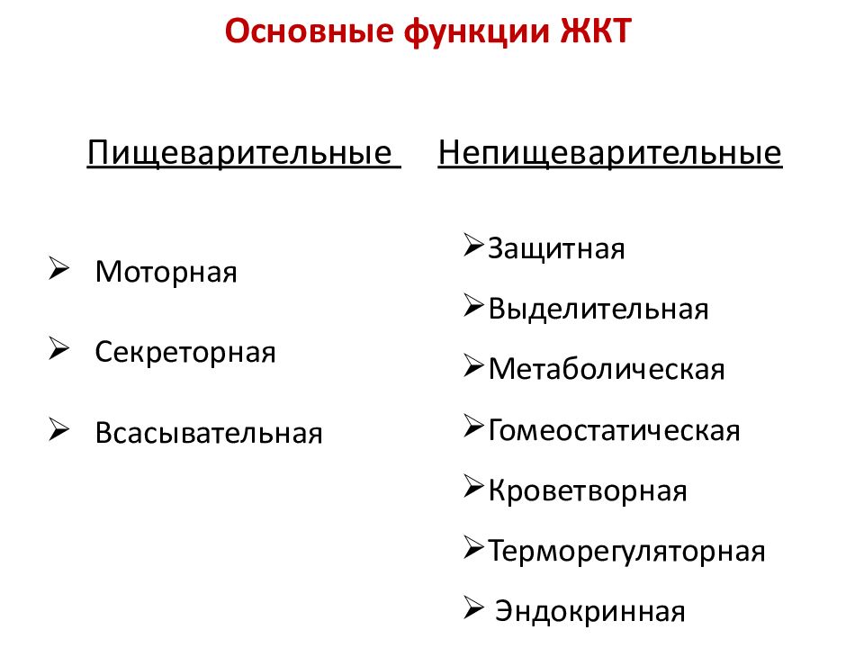 Роль печени в пищеварении презентация