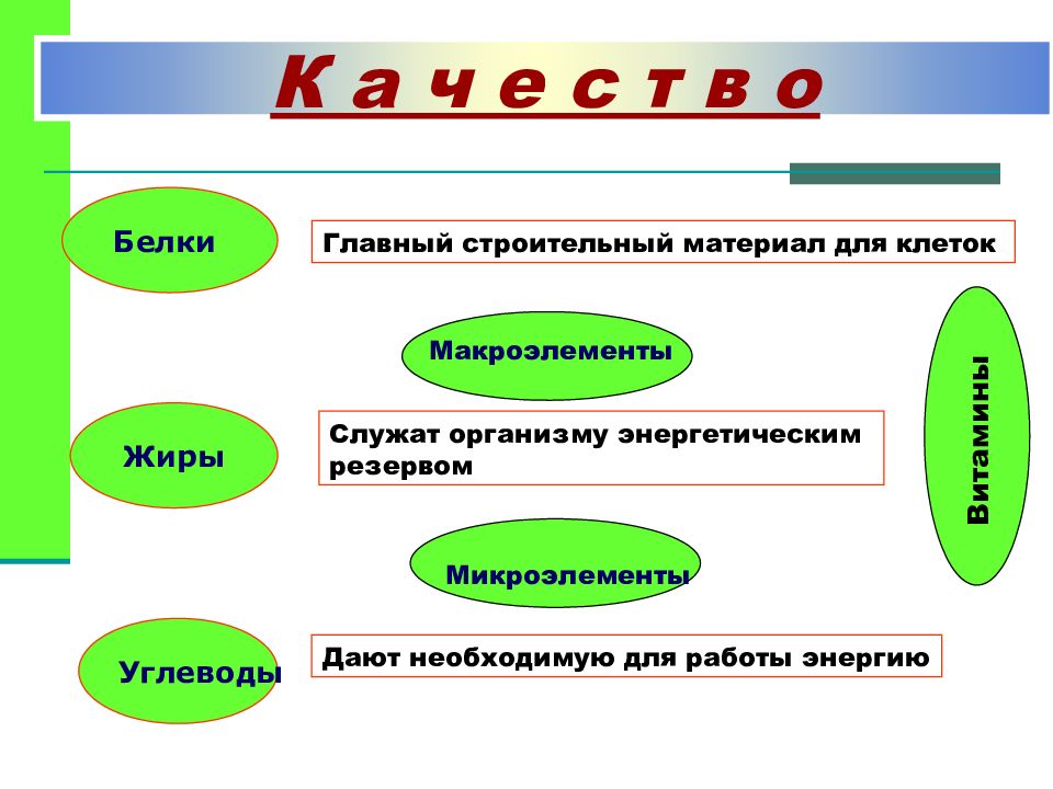 Белки гигиена питания презентация