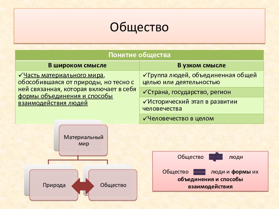 Система общества схема