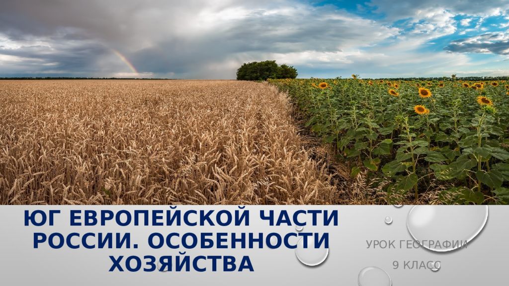 Юг Европейской части России. Особенности хозяйства
