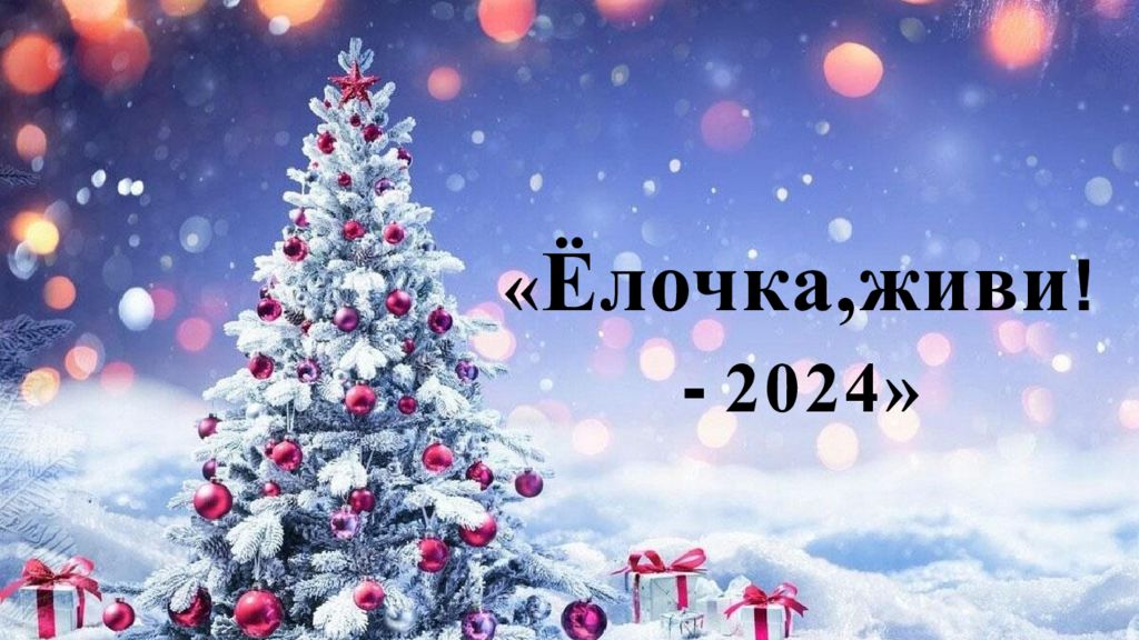 « Ёлочка,живи ! - 2024»