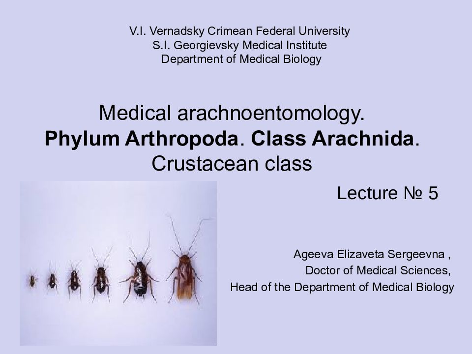 Lecture № 5 V.I. Vernadsky Crimean Federal University S.I. Georgievsky Medical