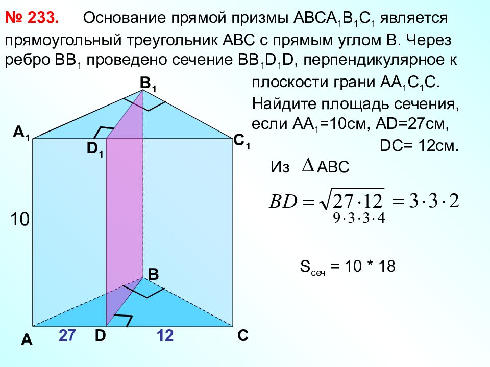 Найти площадь основания прямой треугольной призмы. Основание прямой Призмы. Прямая треугольная Призма сечение. Прямая Призма с прямоугольным основанием. Сечение прямой Призмы.