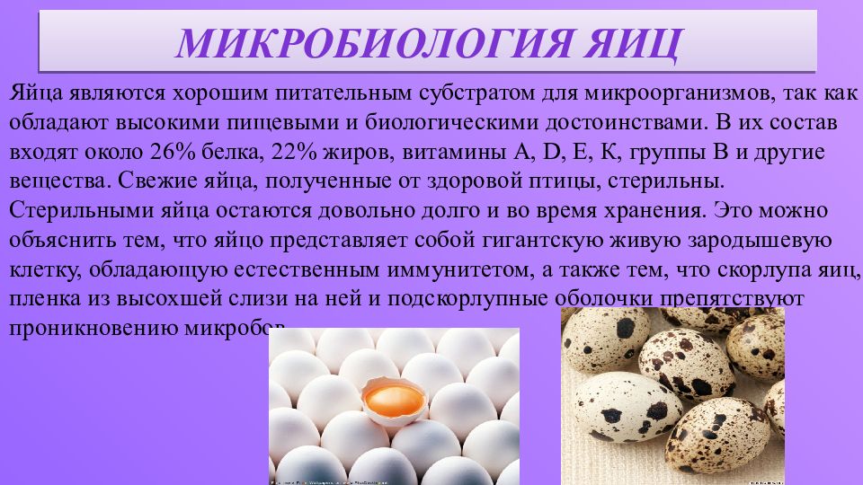 Перепелиные сальмонеллез. Микрофлора яиц и яичных продуктов. Микробиология яичных продуктов. Микробиология яиц. Микробиология яйца и яичные продукты.