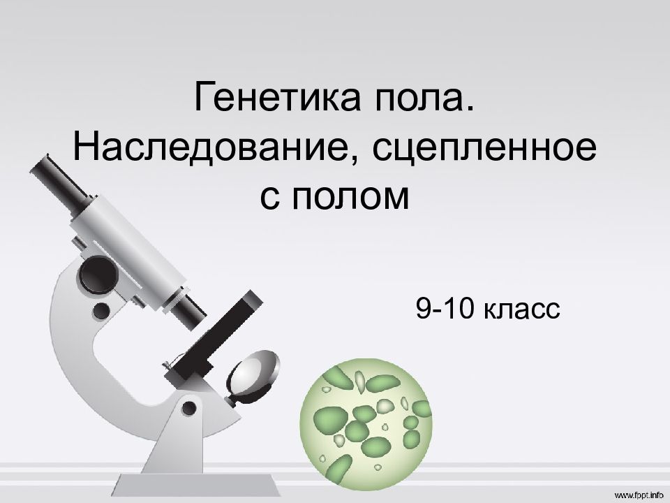 Генетика пола. Наследование, сцепленное с полом