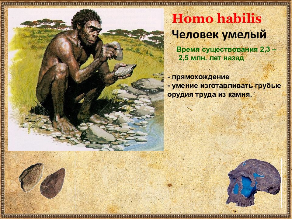 Почему одного из предков назвали человеком умелым. Человек умелый. Человек умелый homo habilis. Древнейшие люди. Человек умелый время существования.
