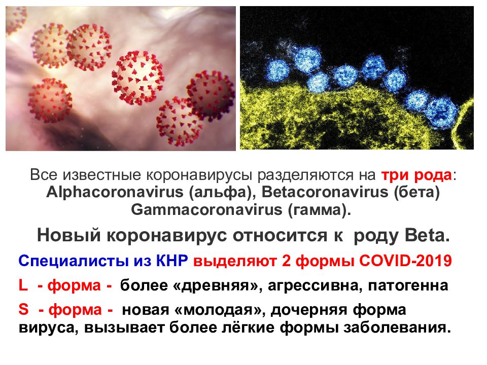 Презентация о коронавирусе