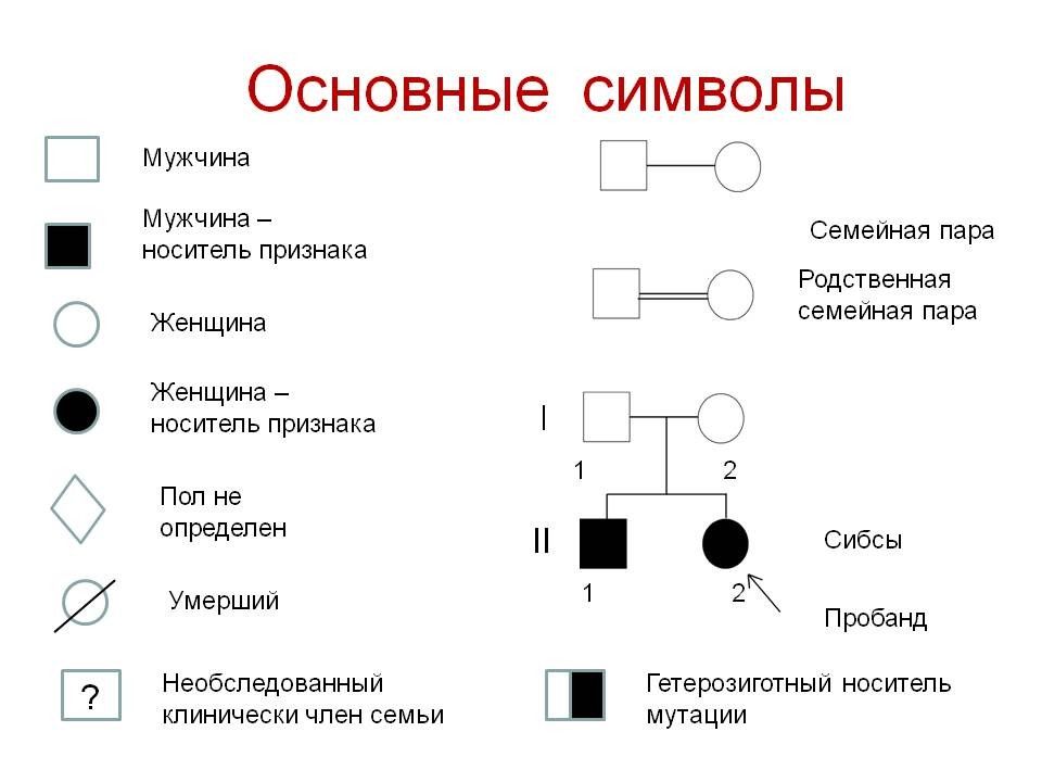 Типы наследования признаков у человека презентация