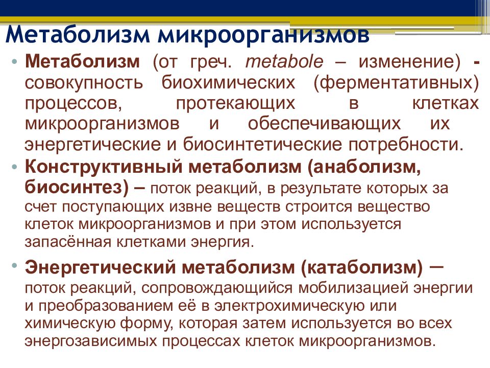 Обмен веществ у бактерий. Конструктивный метаболизм бактерий микробиология. Метаболизм бактерий состоит из процессов. Конструктивный анаболизм бактерий. Особенности метаболизма микроорганизмов.