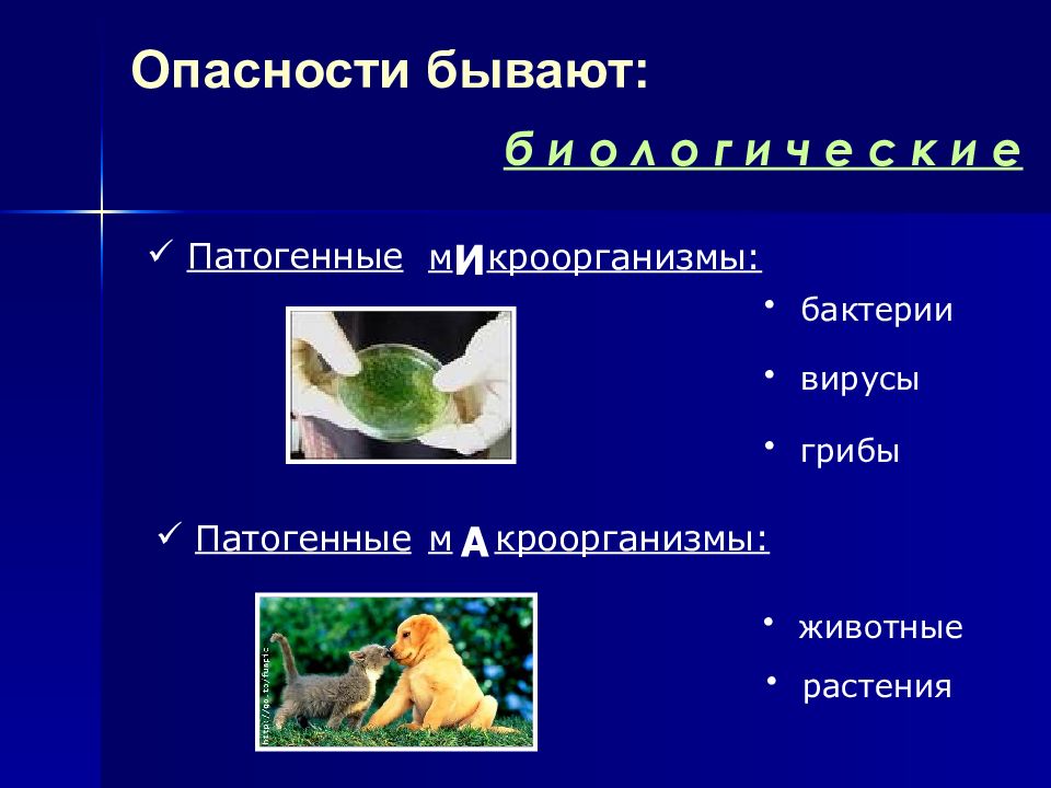 Биологическим бывает. Опасности бывают. Какие бывают опасные. Патогенные опасности это. Какие опасности бывают по категориям.