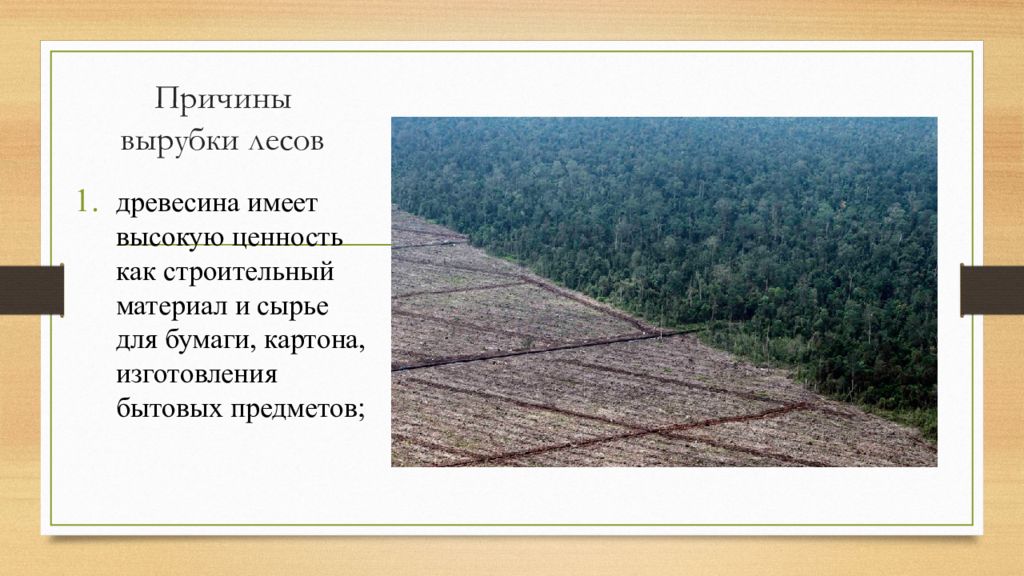 Причины вырубки лесов. Причины вырубки деревьев. Вырубка лесов причины. Вырубка леса презентация.