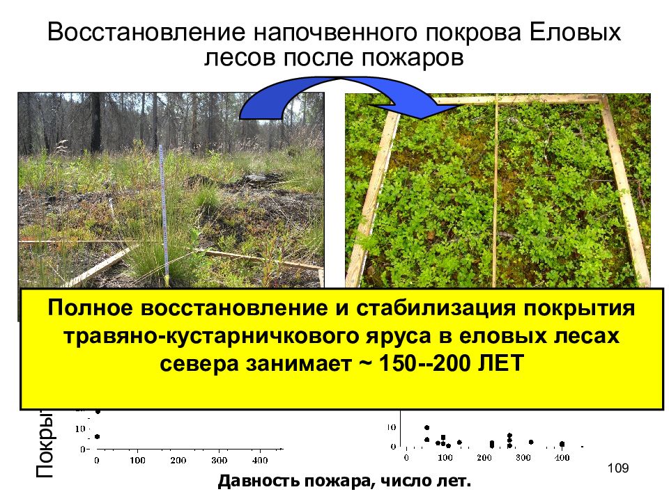 Необходимо восстановление. Восстановление леса после пожара. Восстановление лесов после пожаров. Сукцессия леса после пожара. Процесс восстановления леса после пожара.