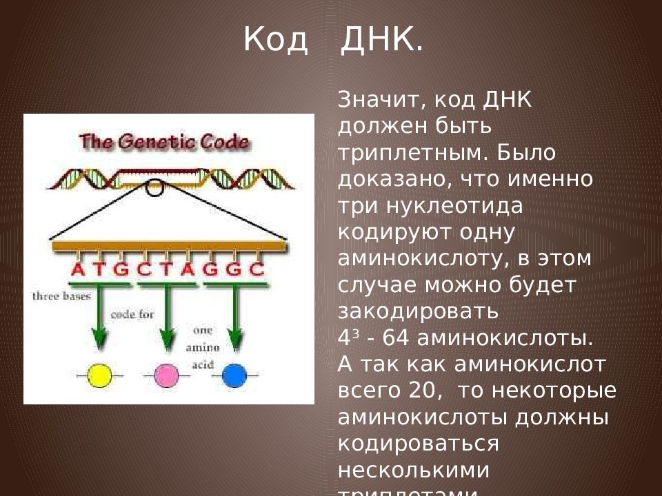 Днк расшифровка аббревиатуры в медицине. Код ДНК. Код ДНК человека. Что значит закодирована в ДНК. Код ДНК транскрипция.