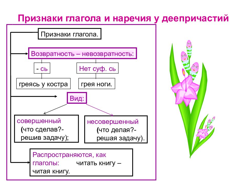 Признаки глагола картинки