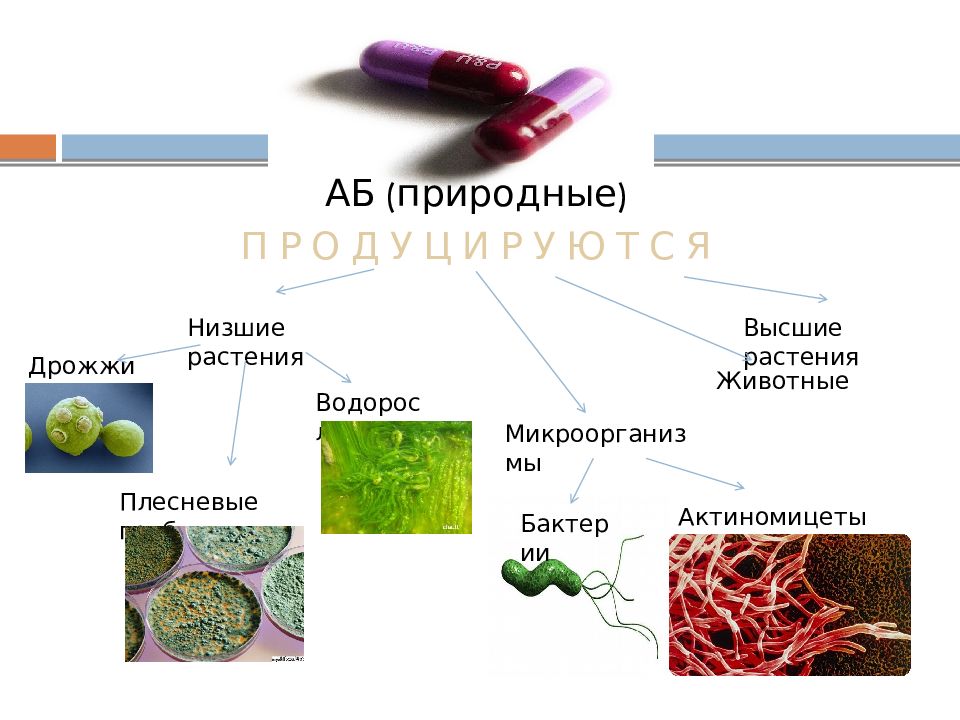 Производство антибиотиков презентация