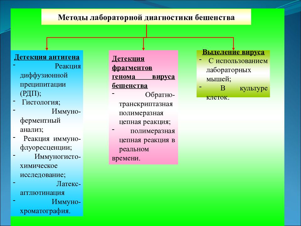 Диагностика вирусов. Методы лабораторной диагностики бешенства. Бешенство методы исследования. Алгоритм лабораторной диагностики бешенства. Методы лабораторной диагностики бешенства у животных.